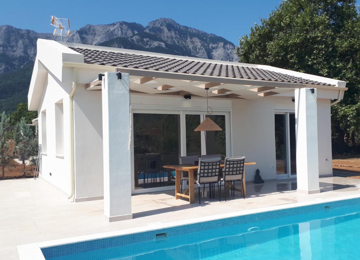 Casa O' - Moderne Villa Mit Grosser Terrasse Und Privatem Swimmingpool Skala Potamia  Eksteriør billede